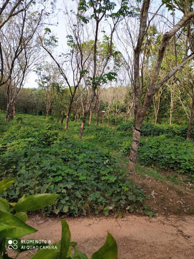 Vanasiri Cottage Dharmastala Buitenkant foto